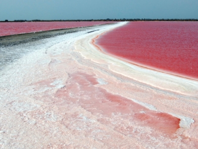 Salines-Occitanie